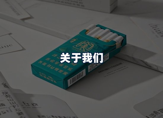 关于我们